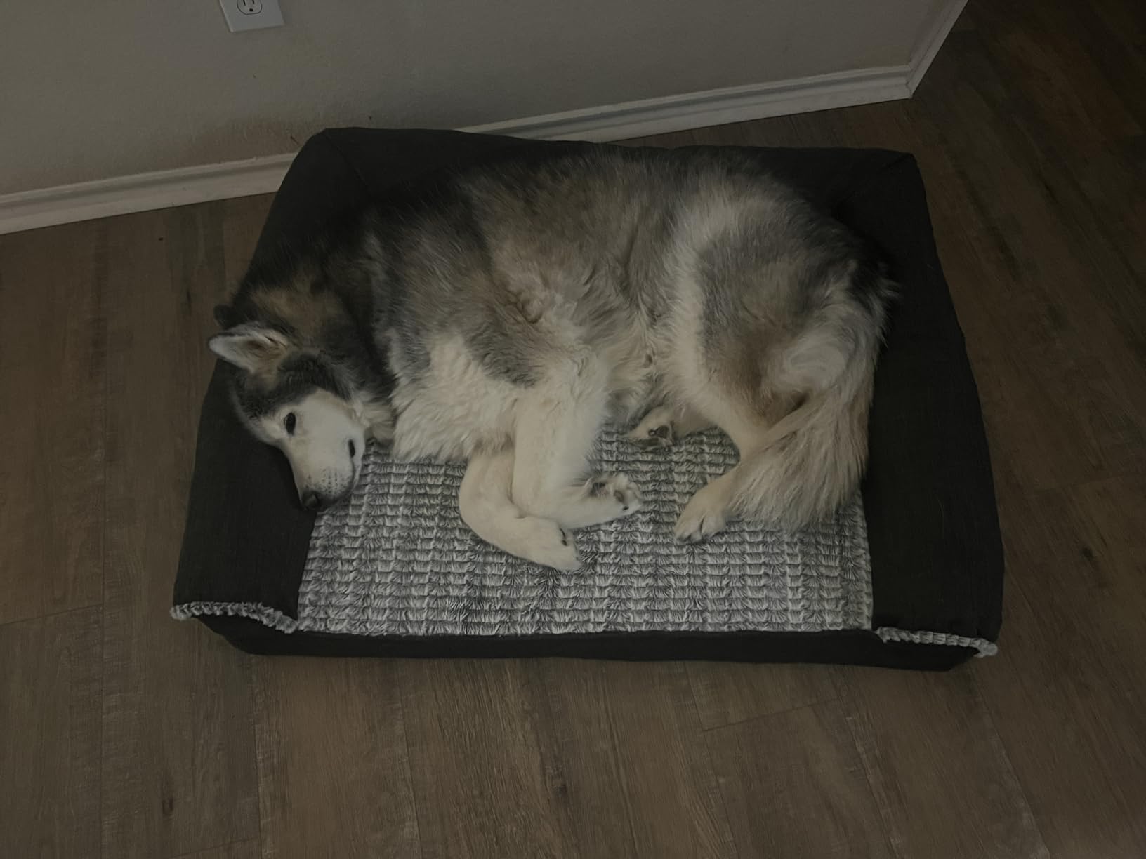 Furhaven Orthopedic Dog Bed for Large Dogs w/ Removable Bolsters & Washable Cover, For Dogs Up to 95 lbs - Plush & Suede Sofa - Gray, Jumbo/XL customer photo 1
