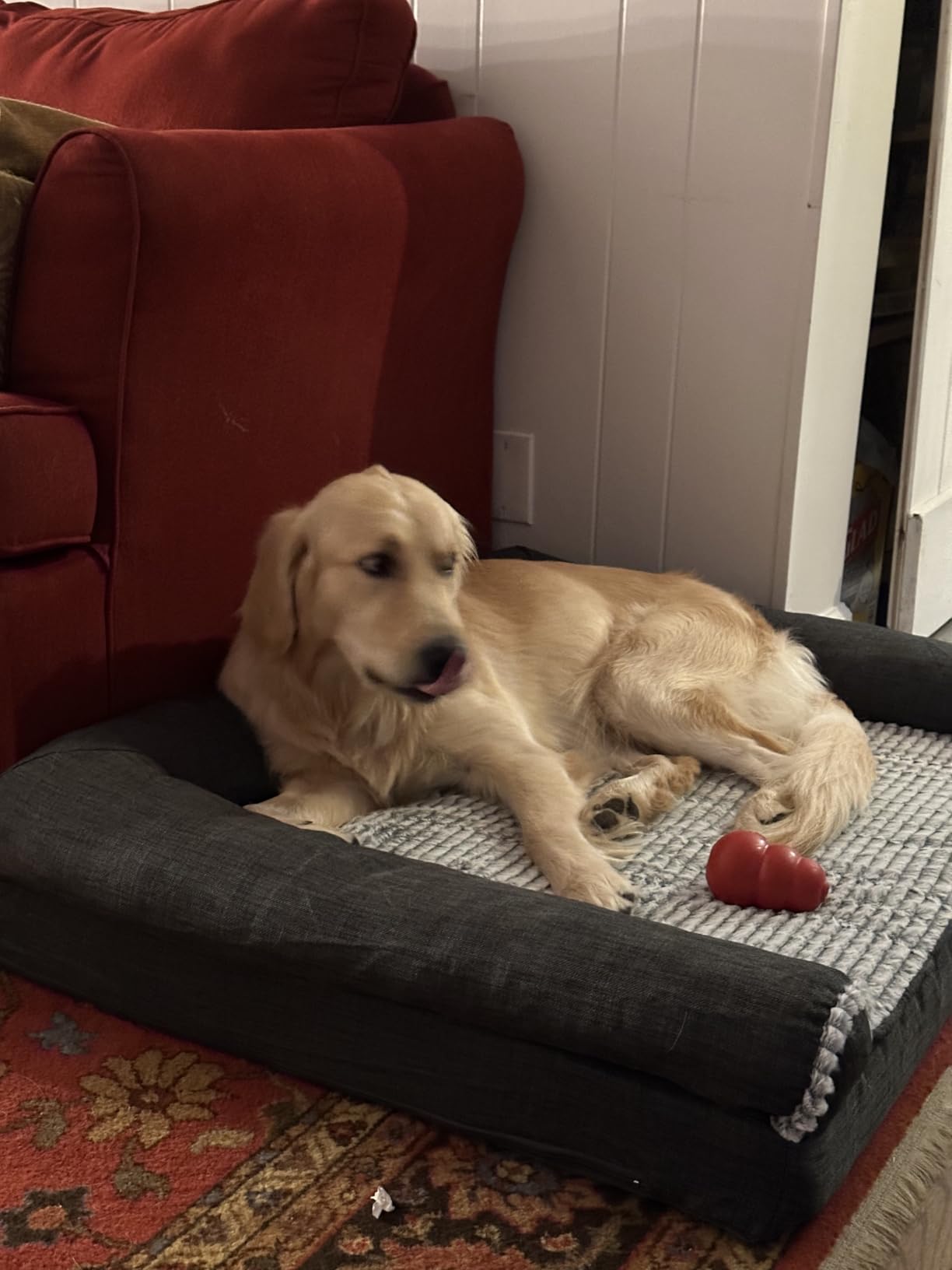 Furhaven Orthopedic Dog Bed for Large Dogs w/ Removable Bolsters & Washable Cover, For Dogs Up to 95 lbs - Plush & Suede Sofa - Gray, Jumbo/XL customer photo 2