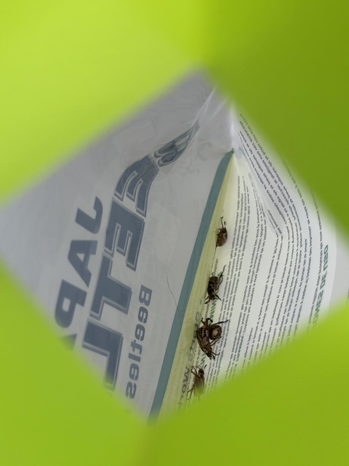 RESCUE! Japanese Beetle Trap – Reusable Bag - 2 Traps customer photo 1