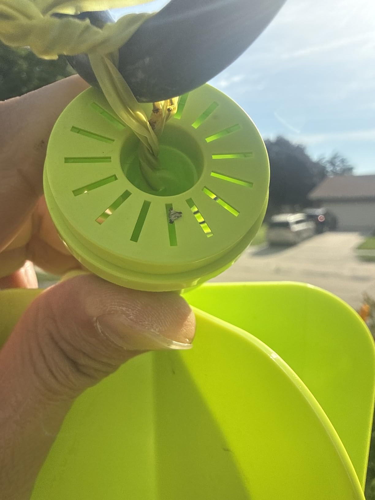 RESCUE! Japanese Beetle Trap – Reusable Bag - 2 Traps customer photo 2
