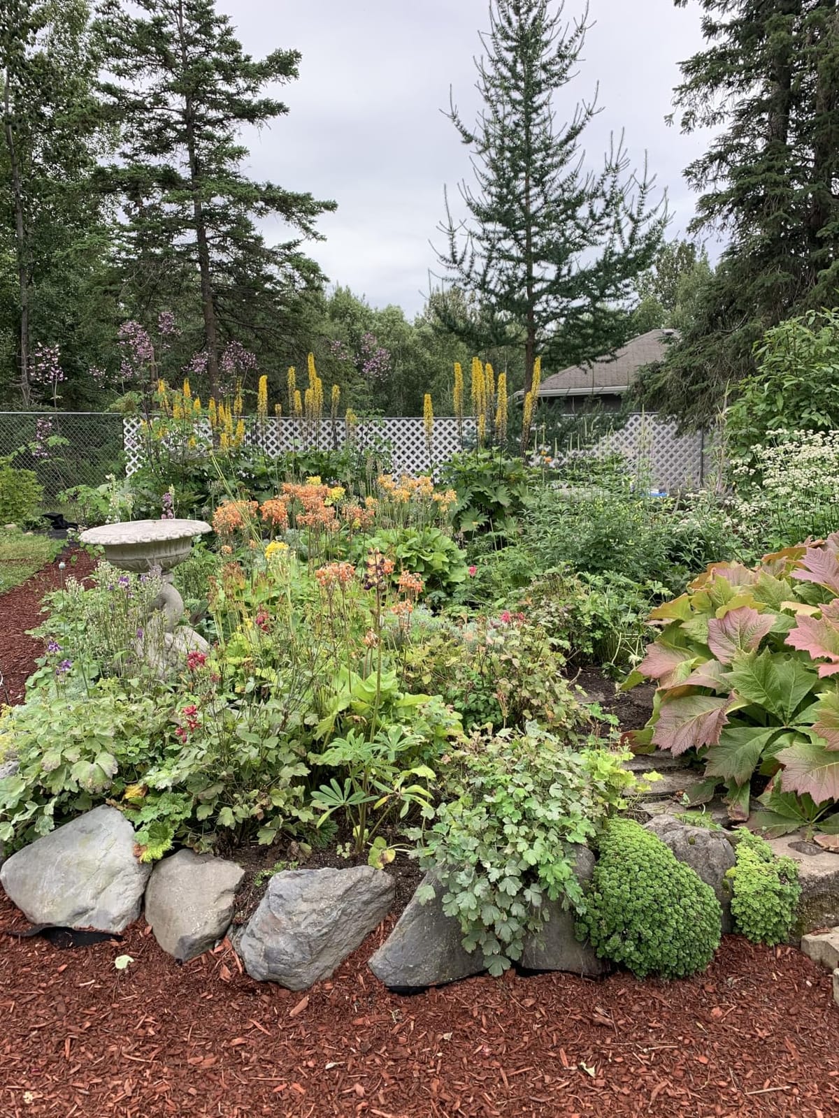 Super Geotextile 4, 6, 8 oz Non Woven Fabric for Landscaping, French Drains, Underlayment, Erosion Control, Construction Projects - 8 oz (4x100) customer photo 1