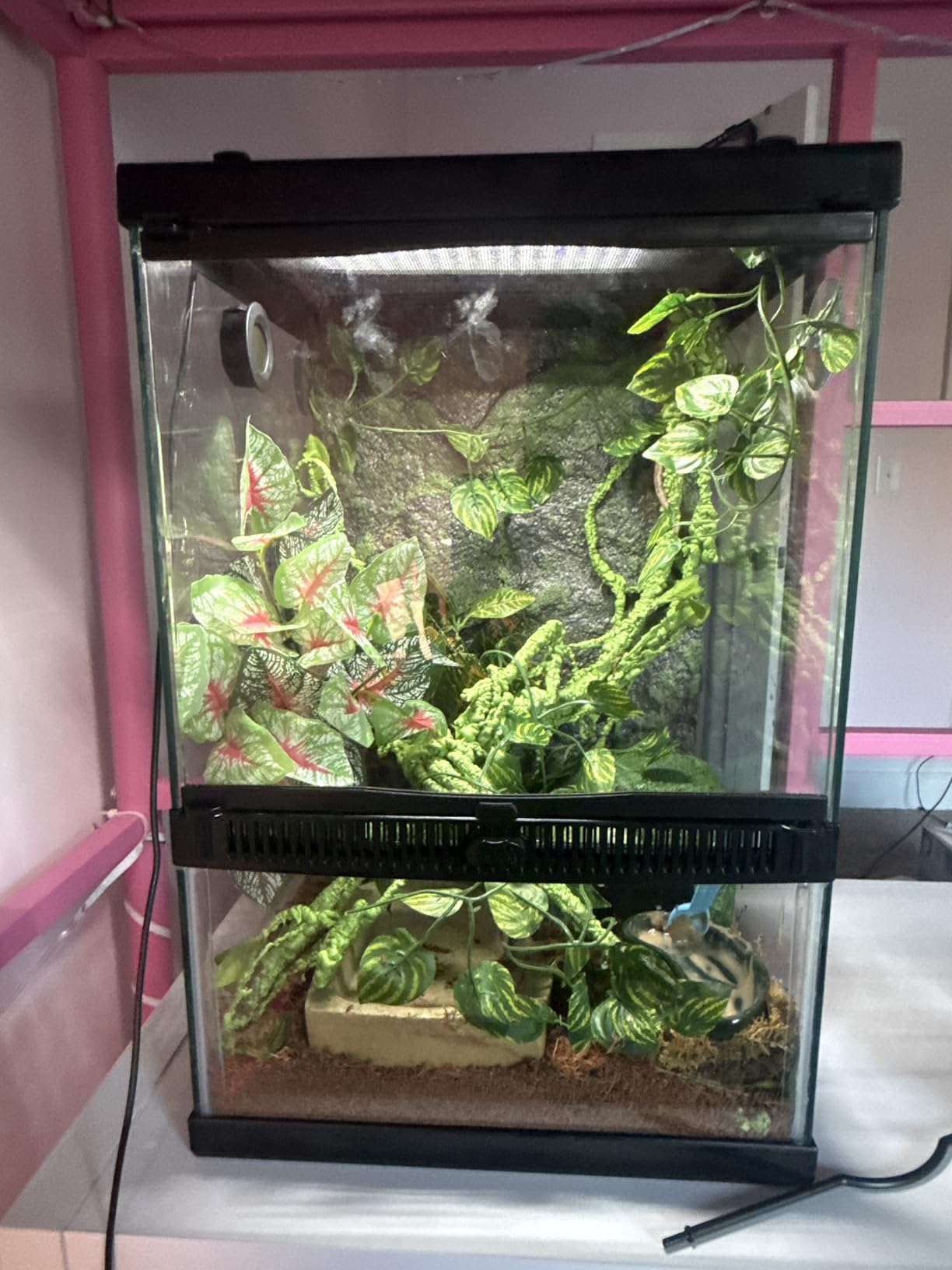 Zilla 11 Gallon Glass Tropical Vertical Terrarium Kit customer photo 1