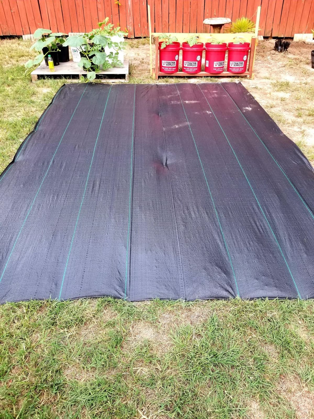 ECOgardener Premium 5oz Landscape Fabric, 3ft x 50ft Pro Garden Weed Barrier - Durable & Heavy Duty Weed Block Gardening Mat, Easy Setup & Superior Weed Control, Eco-Friendly & Convenient Design customer photo 2