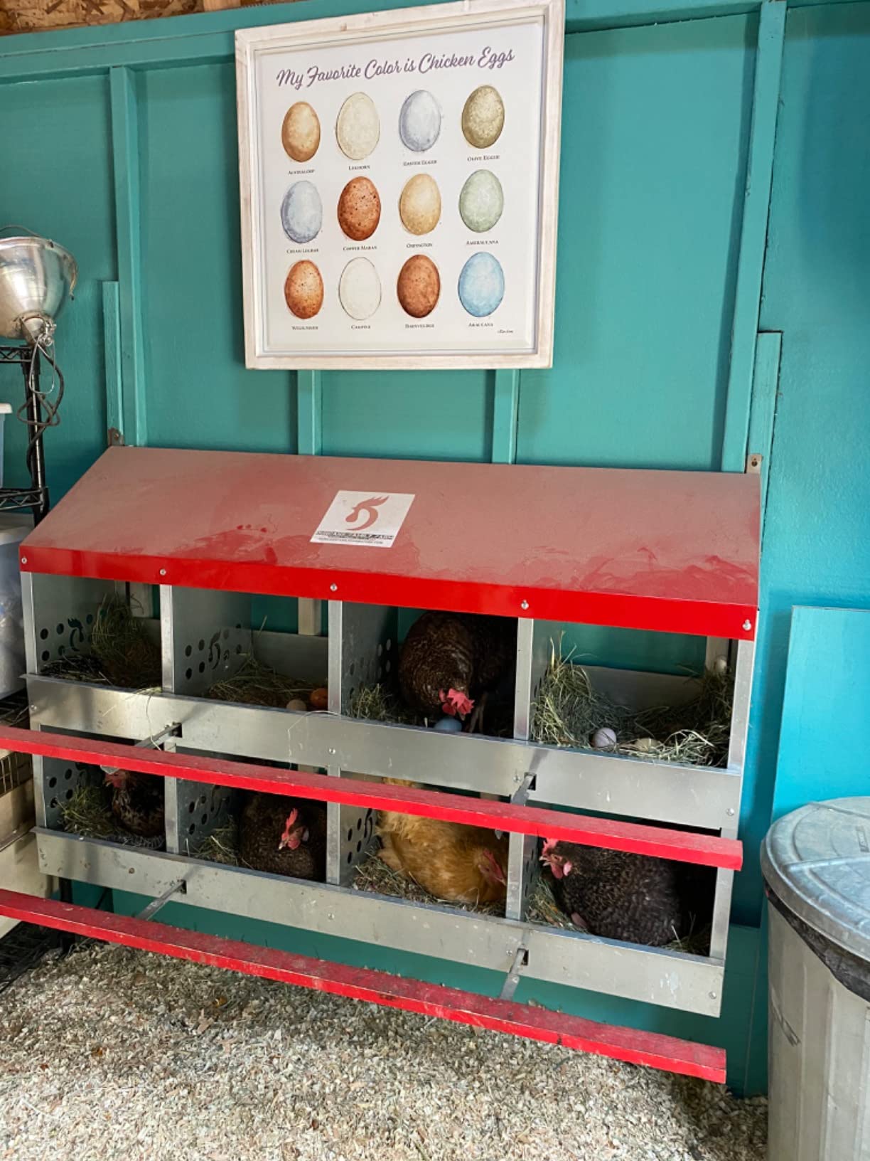 Duncan's Chicken Nesting Boxes - 8 Hole Metal Poultry Nest Box Wall Mount for Chickens, Hens, Ducks - Easy Egg Collection - Large Vented Holes - Fold Up Perches customer photo 1