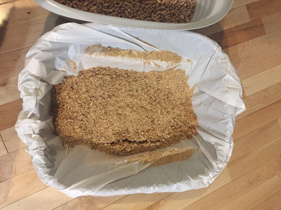 Arm & Hammer Large Sifting Litter Box Scoop Free Cat Litter Tray with Microban, Made in USA customer photo 2