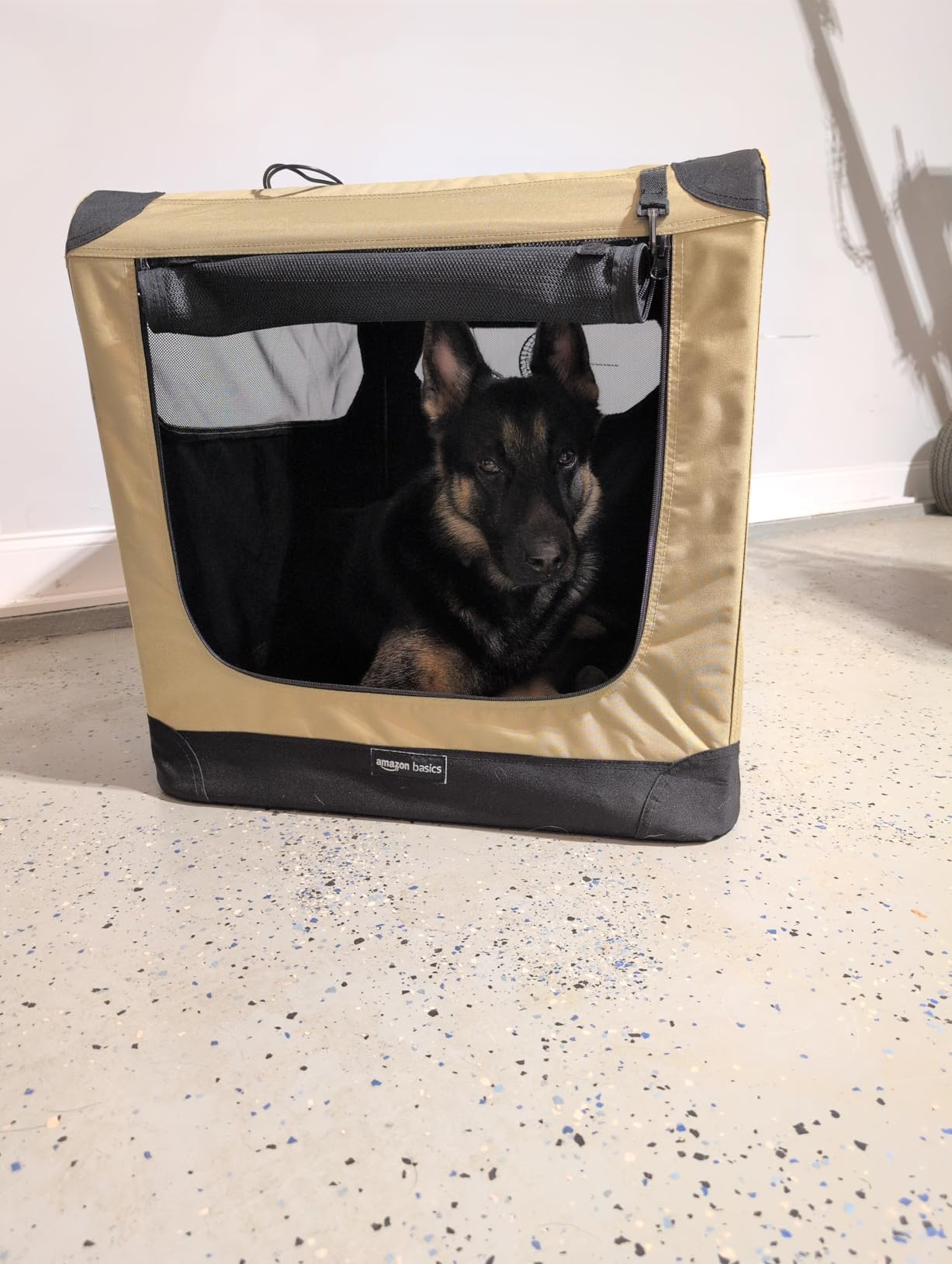 Amazon Basics Portable Folding Soft Dog Crate, 2-Door, Collapsible Travel Kennel, Top & Front Loading, Small 26