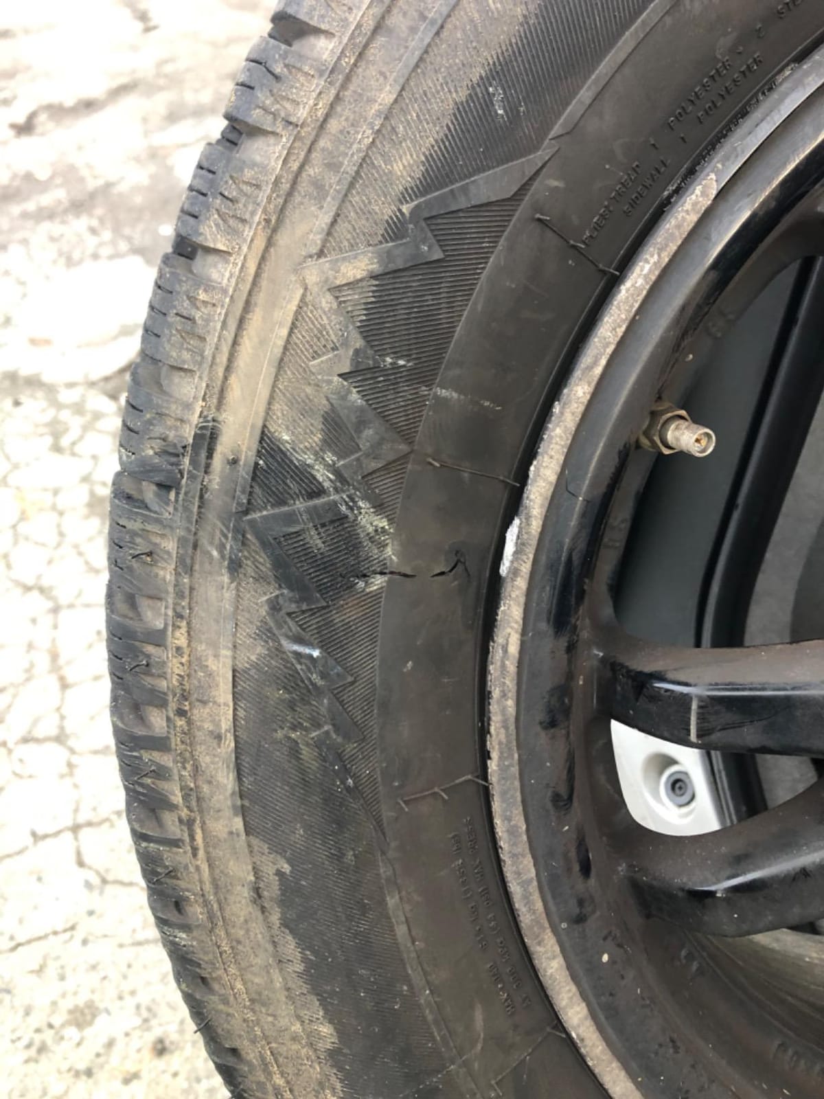 Firestone Winterforce 2 Winter/Snow Passenger Tire 195/65R15 91 S customer photo 1