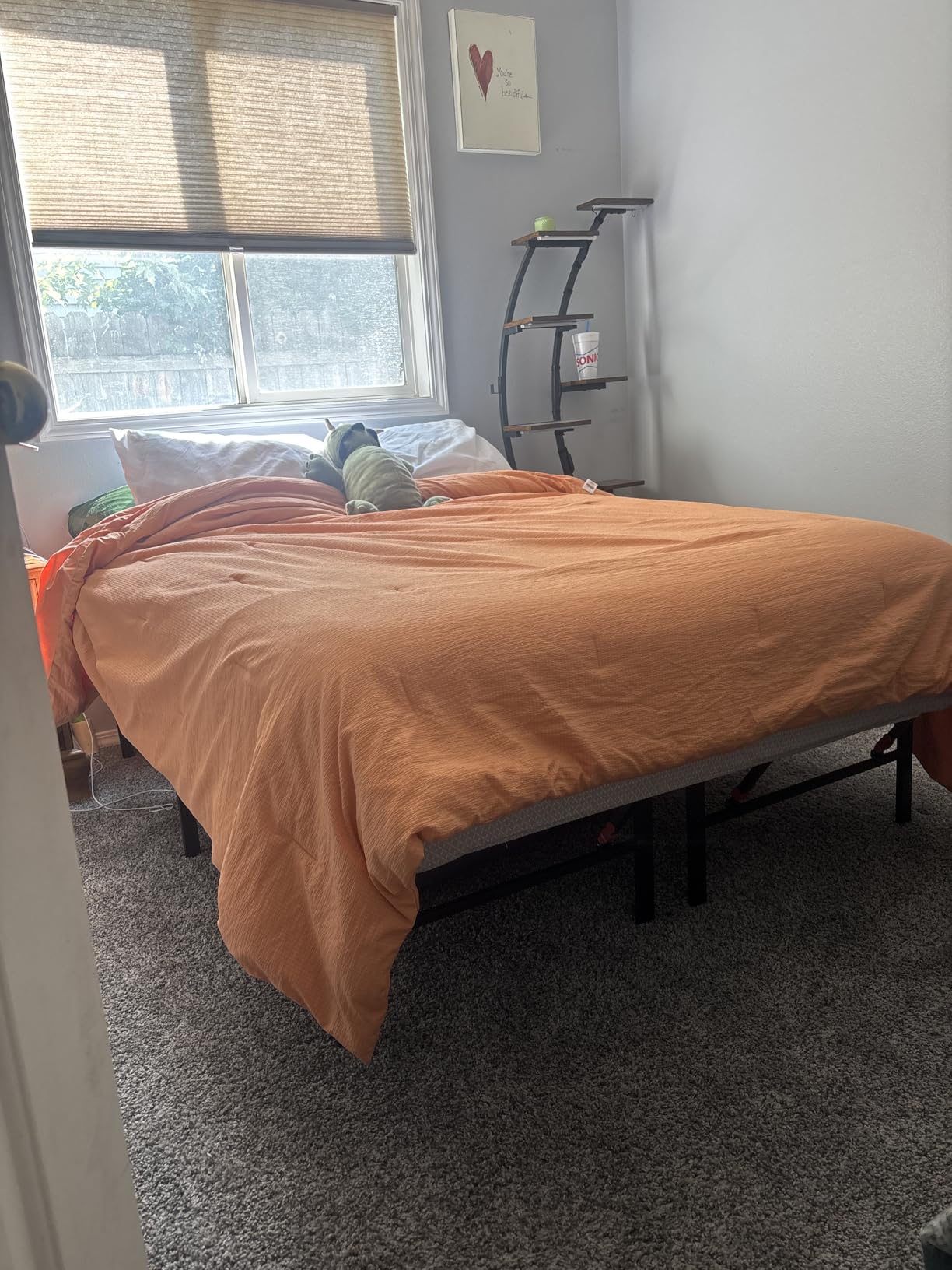 Amazon Basics Foldable Metal Platform Bed Frame with Storage, Sturdy Steel Support, No Box Spring Needed, 14-inch High, Tool-Free Setup, Twin Size, Black customer photo 2