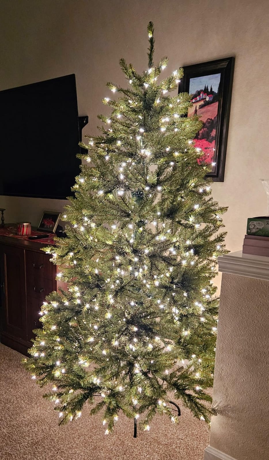 National Tree Company 6ft Pre-Lit Dunhill Fir Artificial Christmas Tree customer photo 1