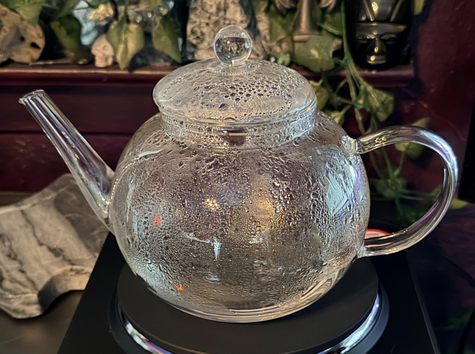 Teabloom Stovetop & Microwave Safe Glass Teapot with Removable Loose Tea Glass Infuser – Includes 2 Blooming Teas – 2-in-1 Tea Kettle and Tea Maker – Tea Purist's Choice customer photo 1