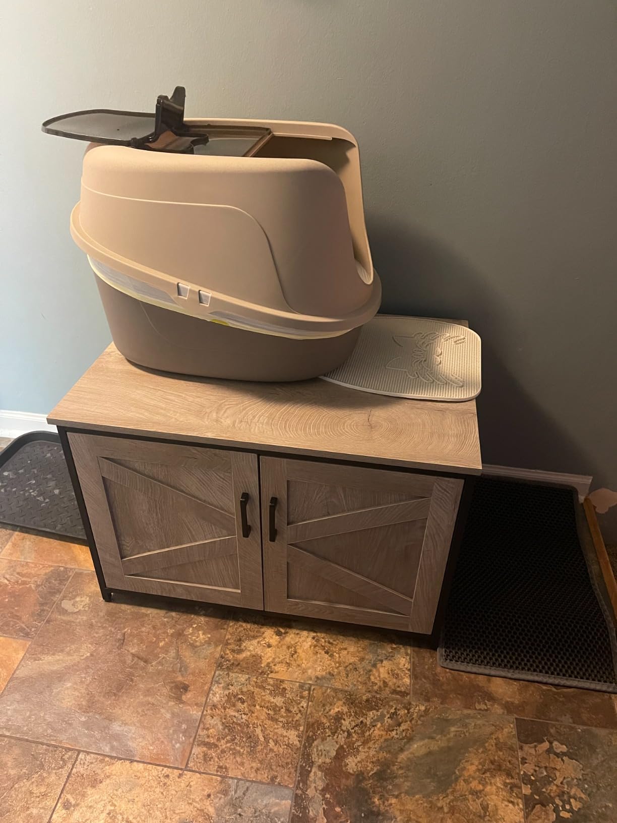 Amazon Basics No-Mess Hooded Enclosed Cat Litter Box with Odor Control and Swinging Door, Large, 24