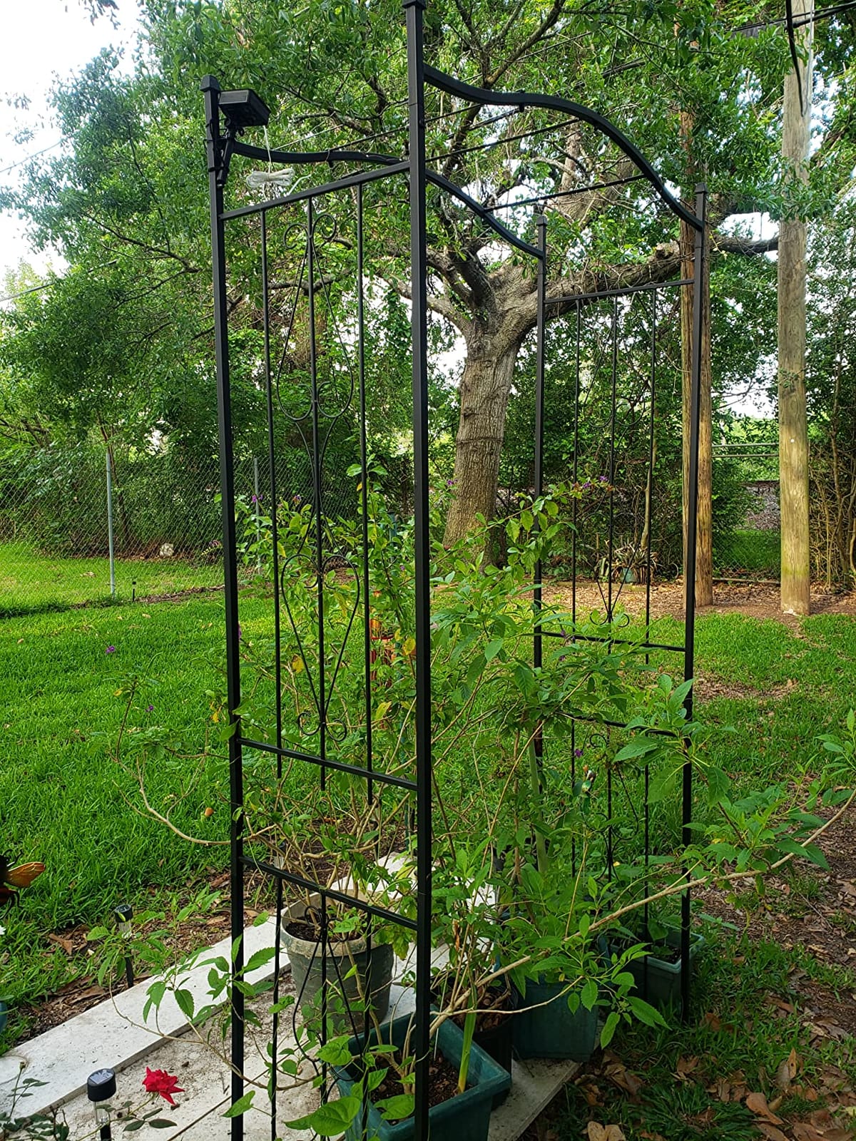 Best Choice Products 92in Steel Garden Arch Arbor Trellis for Outdoor, Yard, Garden, Climbing Plants w/Decorative Wire Lattice - Black customer photo 2