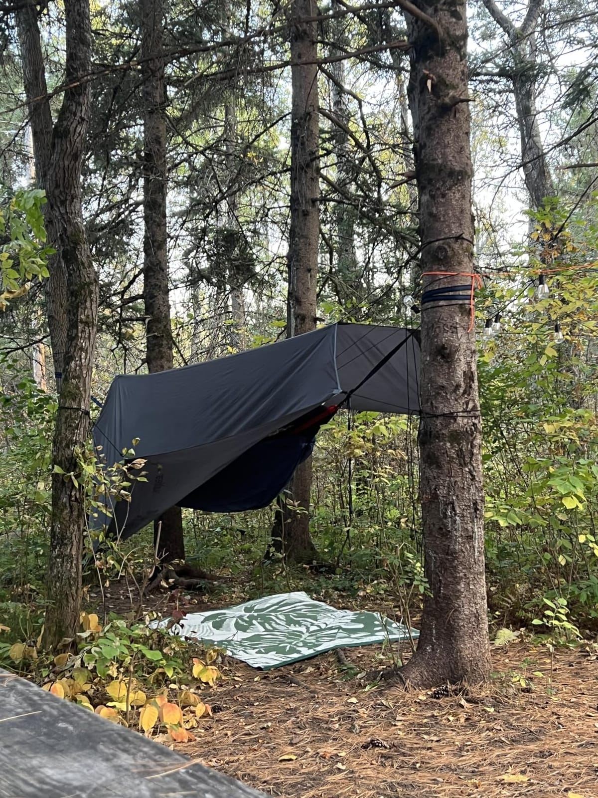 Sunyear Camping Hammock, Portable Single & Double Hammock with Net, 2 Person Hammock Tent with 2 * 10ft Straps, Best for Outdoor Hiking Survival Travel customer photo 2