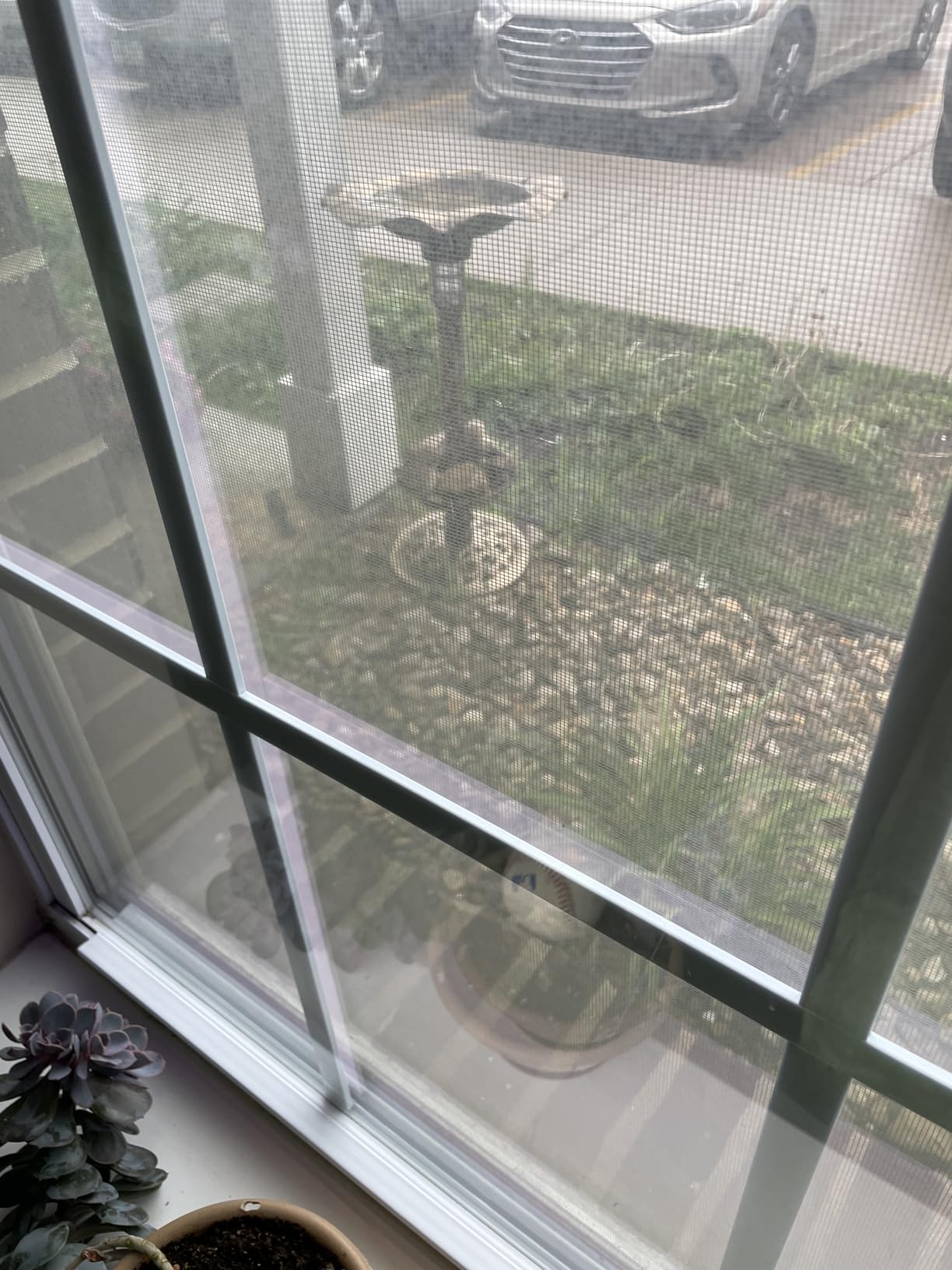 Best Choice Products Bird Bath W/Solar Light & Planter - Bronze customer photo 1