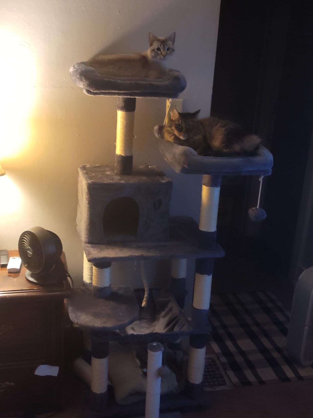 Feandrea Cat Tree, 55.8-Inch Large Cat Tower, Multi-Level Condo, Light Gray customer photo 2