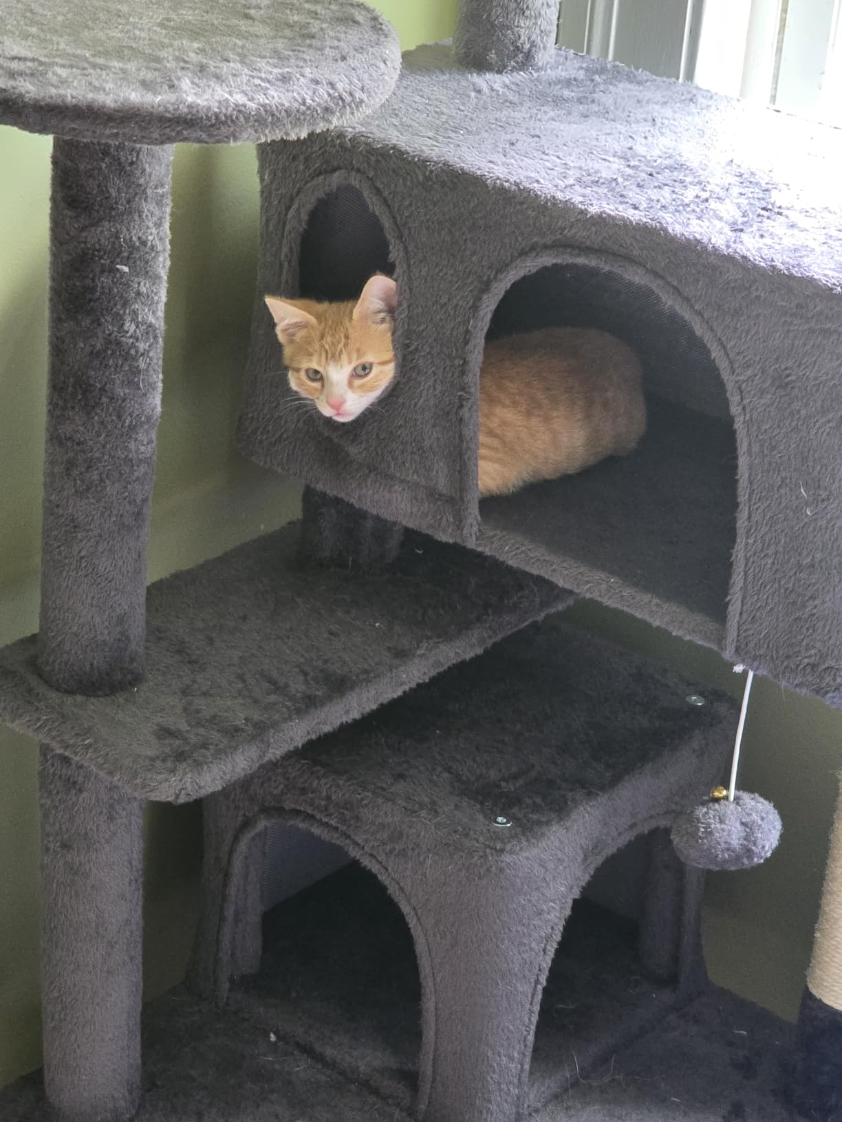 Yaheetech 54in Cat Tree Tower, 2 Caves, Kitten-Ear Perch & Scratching Posts customer photo 1