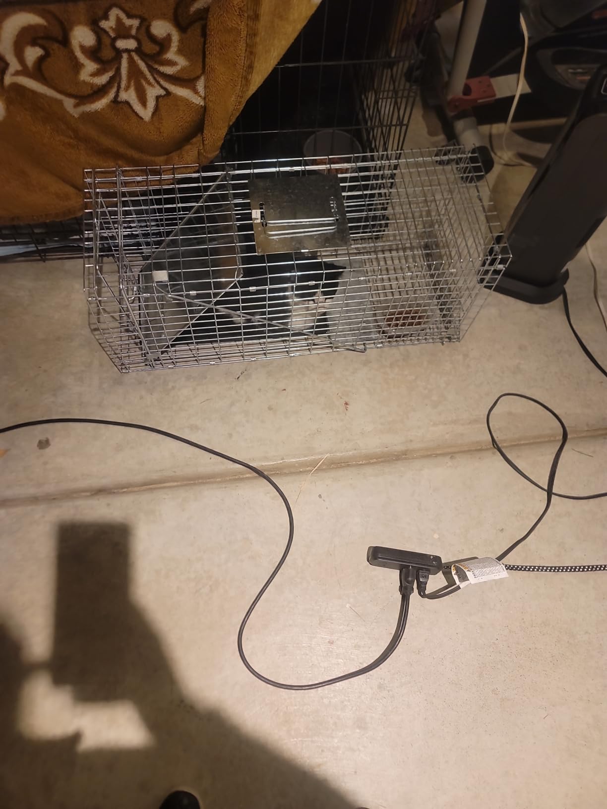 ZENY Live Animal Cage Trap, 32