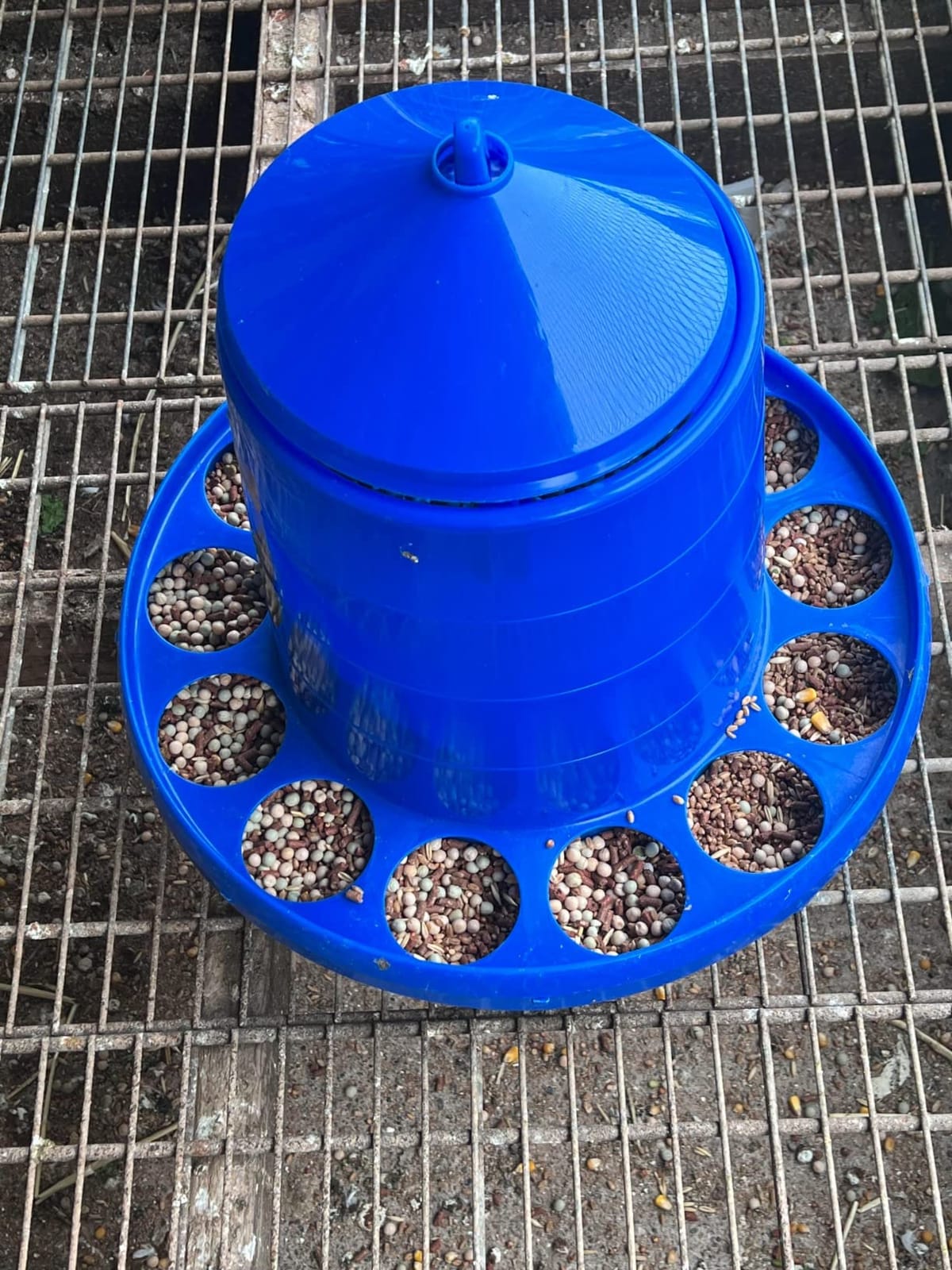 Double-Tuf® Poultry Feeder with Legs | Durable Feeding Container | Carrying Handle for Chickens & Birds | Chicken Feeder | 4 Lbs customer photo 1