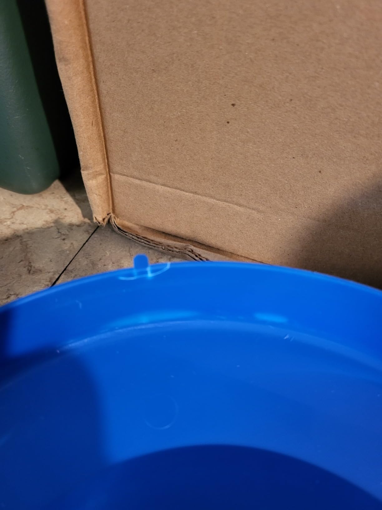 Double-Tuf® Poultry Feeder with Legs | Durable Feeding Container | Carrying Handle for Chickens & Birds | Chicken Feeder | 4 Lbs customer photo 2