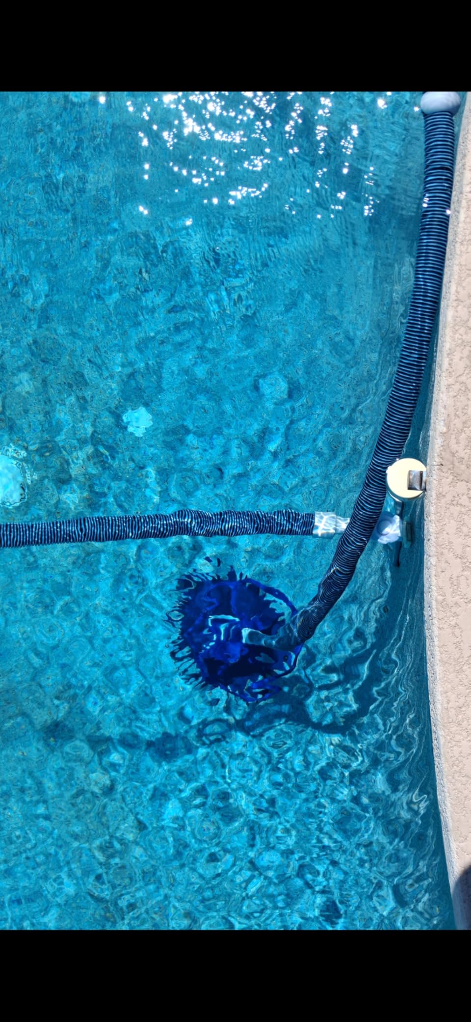 VINGLI Suction Pool Cleaner, Automatic Wall-Climbing Vacuum -Navy Blue customer photo 1