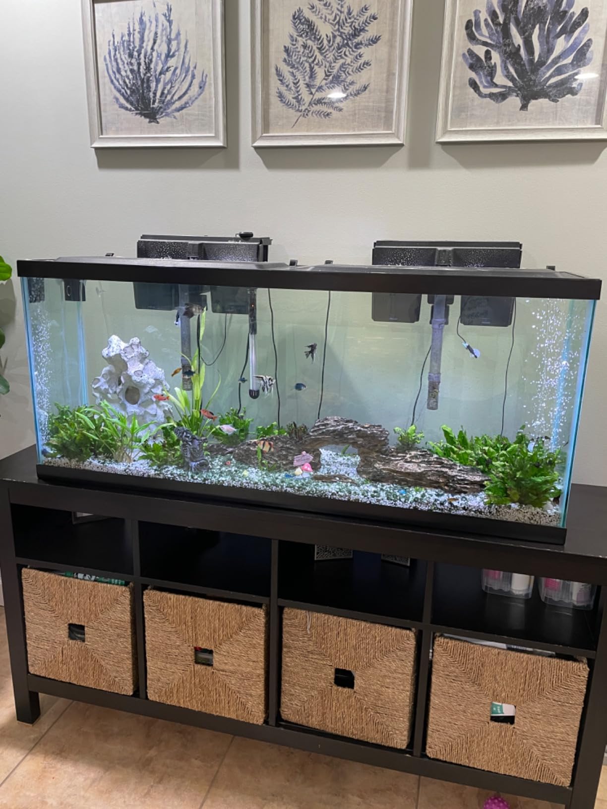 Tetra Complete with Plants 55 Gallon Fish Tank Kit, Freshwater & Saltwater customer photo 2