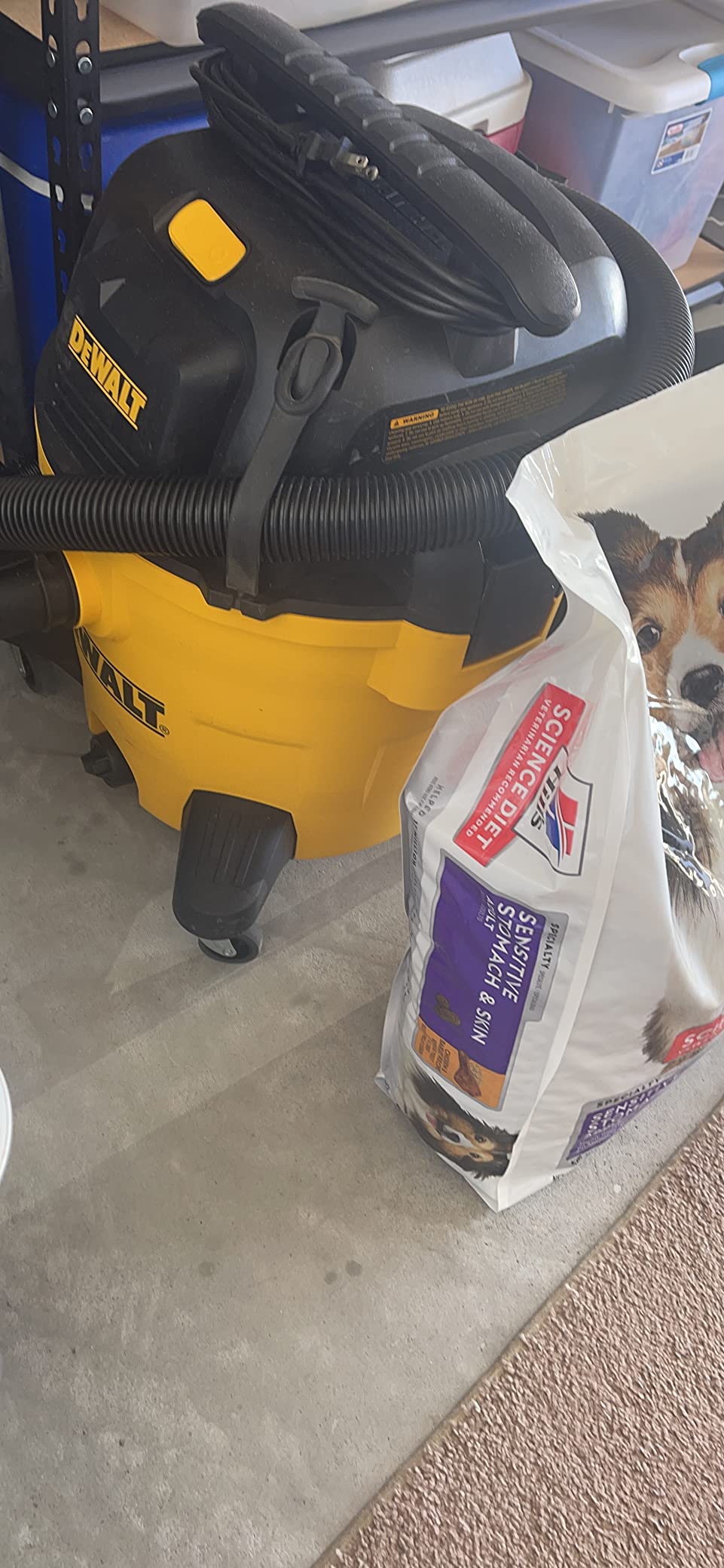 DEWALT 10 Gallon Poly Wet Dry Vacuum, 5.5 HP Shop Vacuum 120V 90 CFM for Jobsite, Work Shop, Comerical Area, Garage/Warehouse etc, 10 Ft Cord Model DXV10P customer photo 1