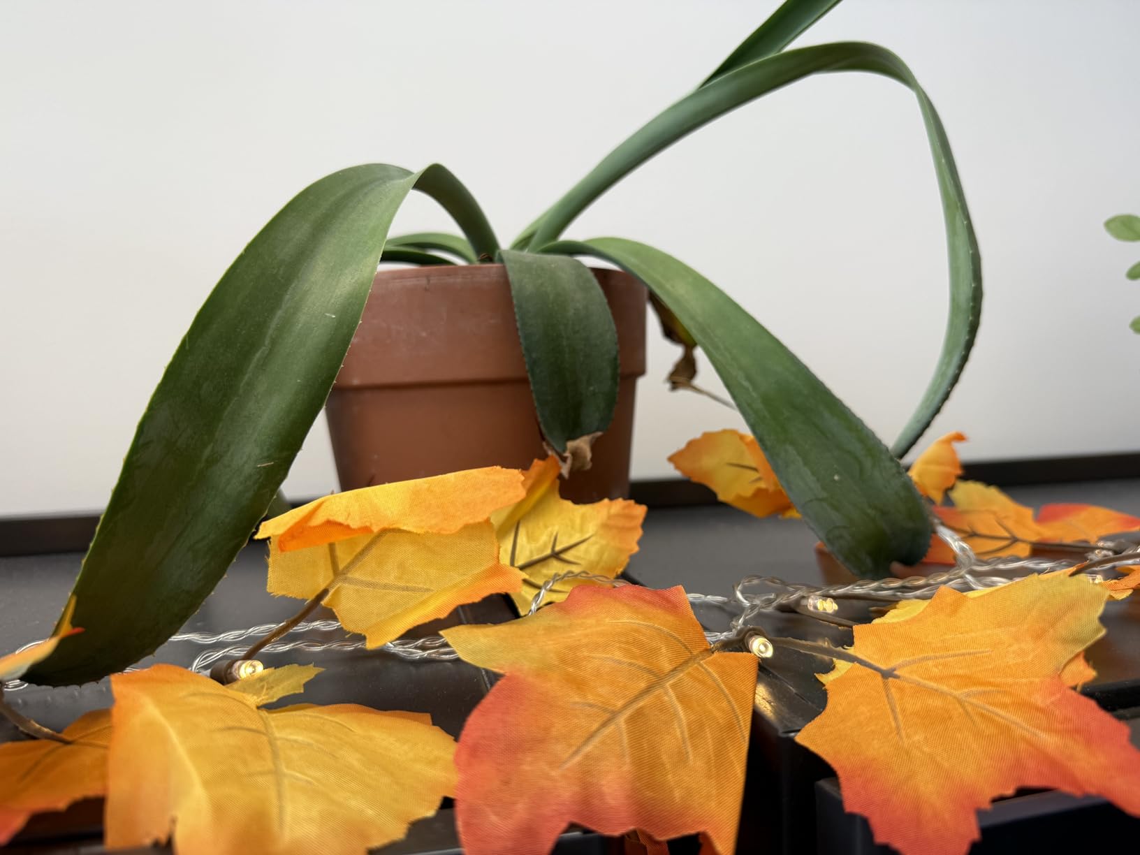 2-Pack Lighted Fall Garland, Total 16.4ft 40 LED Autumn String Lights customer photo 1