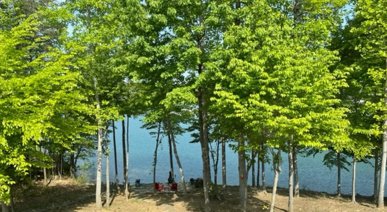 Notch 18’ Pole Saw Set w/15“ Blade, 3 x 6ft Yellow Fiberglass Poles (40207) customer photo 2