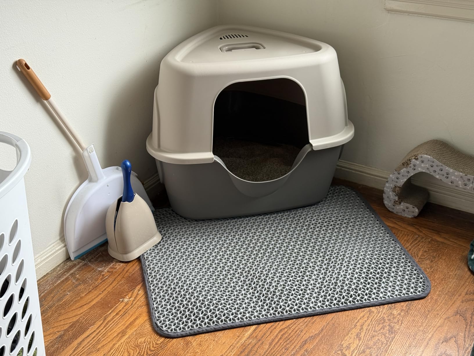 Amazon Basics Cat Litter Box with Lid, No-Mess, Spacious Enclosed Design with Odor Control, Easy Access, Stain Resistant, 26