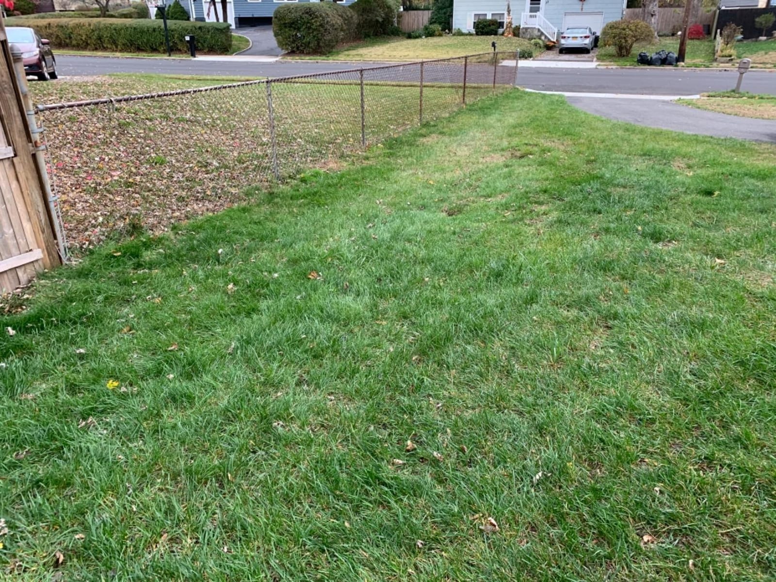 Scotts Outdoor Power Tools LSW70026S 26-Inch Push Lawn Sweeper, Black/Green customer photo 2