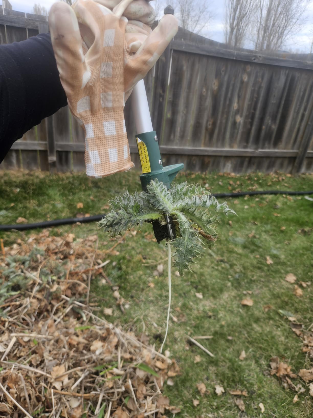 Walensee Weed Puller, Stand Up Weeder Hand Tool, Long Handle Garden Weeding Tool with 3 Claws, Hand Weed Hound Weed Puller for Dandelion, Standup Weed Root Pulling Tool and Picker, Grabber (1 Pack) customer photo 2