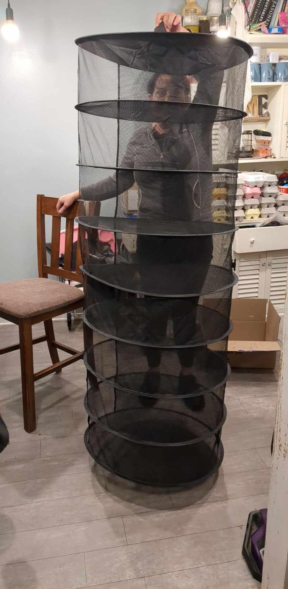 Desy & Feeci Herb Drying Rack Hanging, 8 Layer Collapsible Mesh Dry Net Herb Dryer with S Hang Buckle and Storage Bag, Black (Diameter 60 cm) customer photo 1