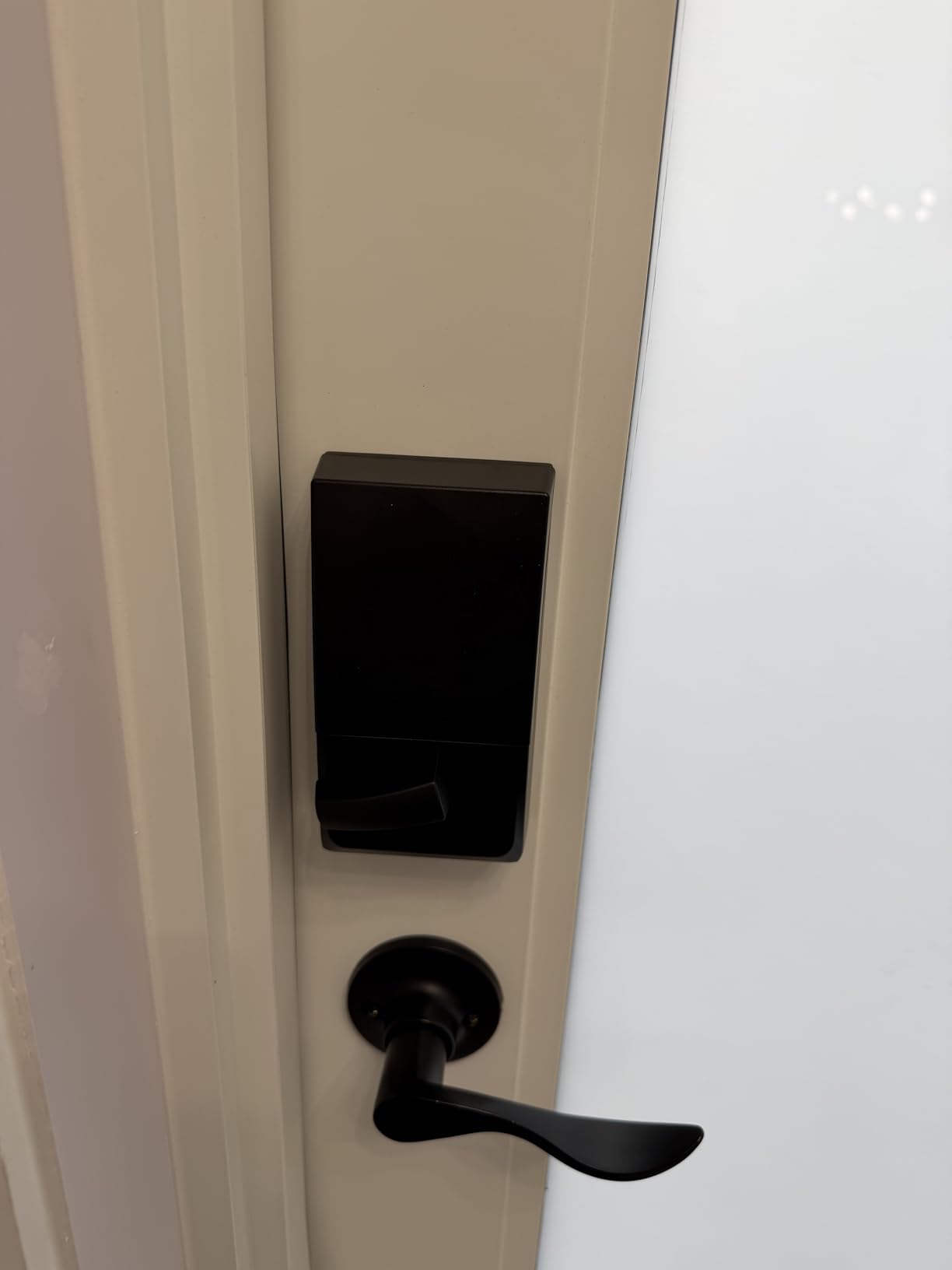 Schlage Encode Smart WiFi Deadbolt Lock with Century Trim, Satin Nickel customer photo 2