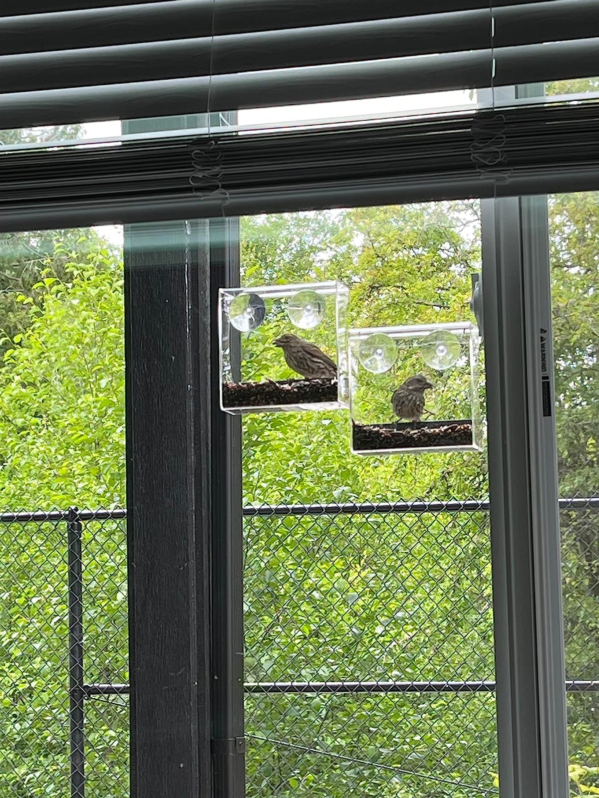 Clear Window Bird Feeder for Outdoors, Bird Houses with Strong Suction Cups customer photo 1