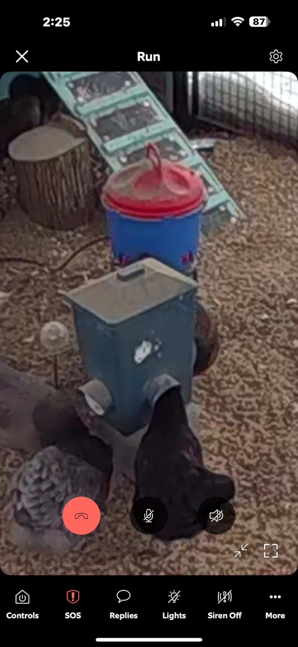 Premier 1 All-Season Heated Poultry Waterer for Chickens & Ducks – 3 Gallon customer photo 1