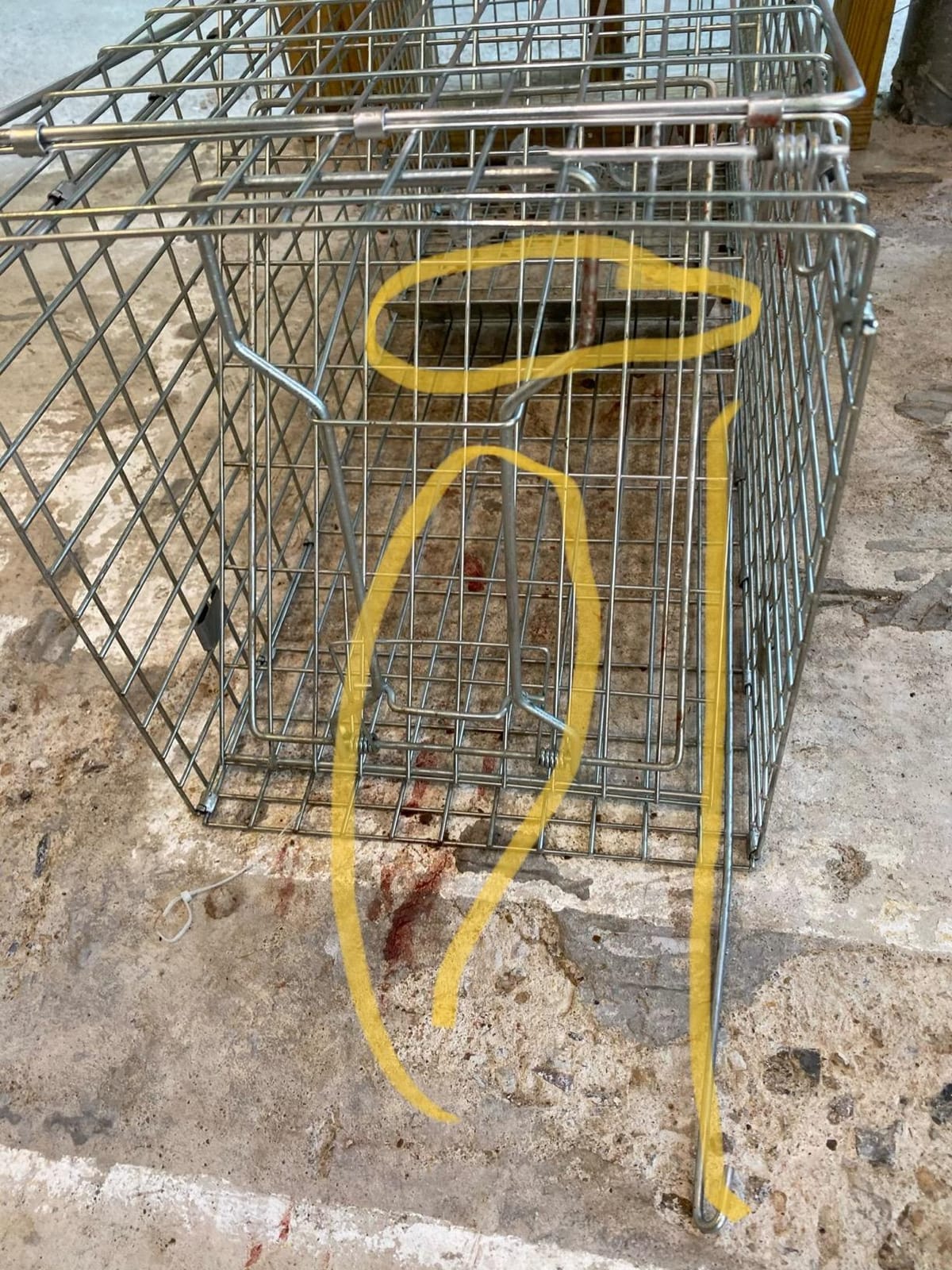 HomGarden Live Animal Cage Trap 32