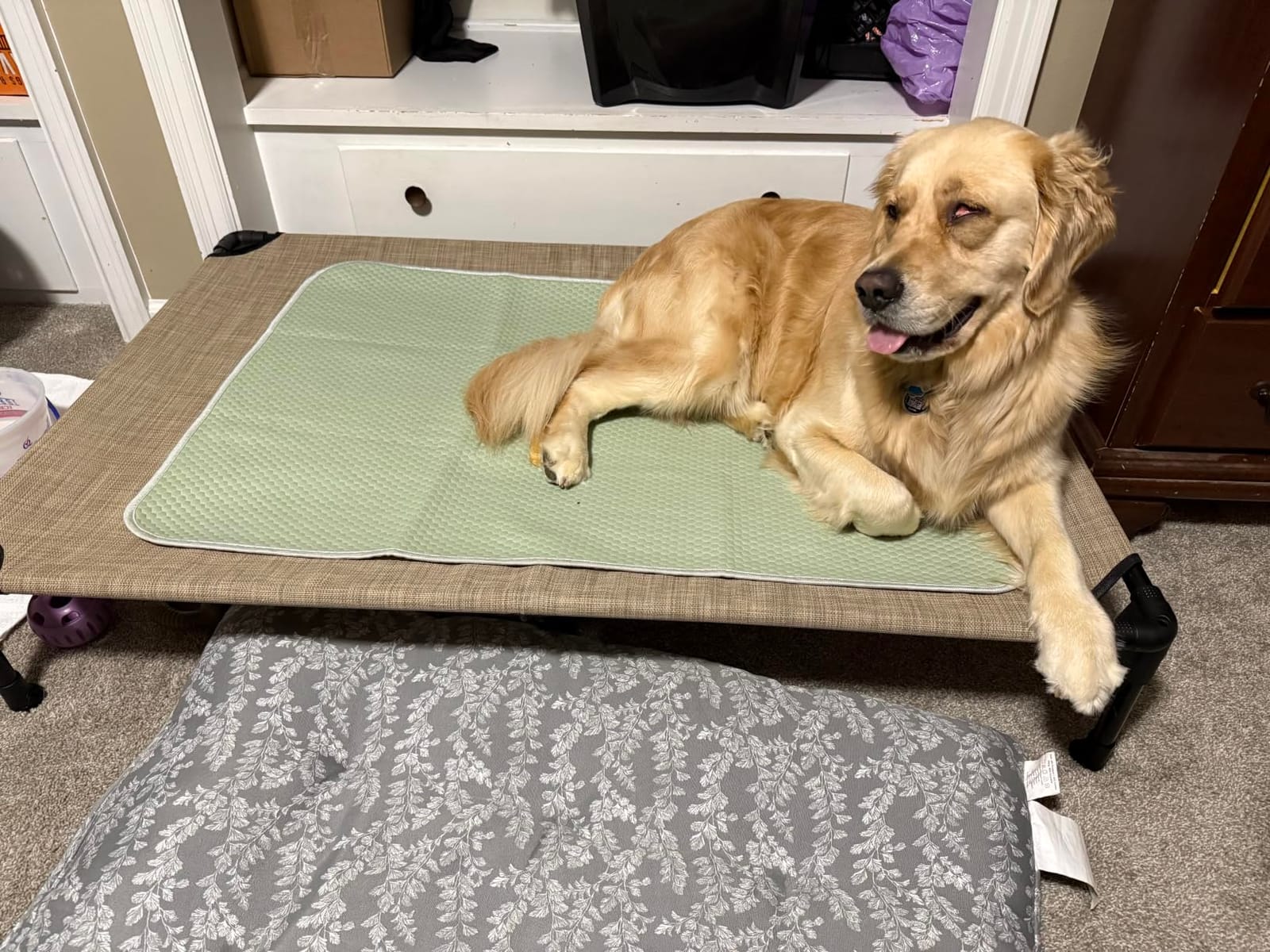 Veehoo Outdoor Elevated Dog Bed Large Sized Dogs, Cooling Raised Dog Cots customer photo 2