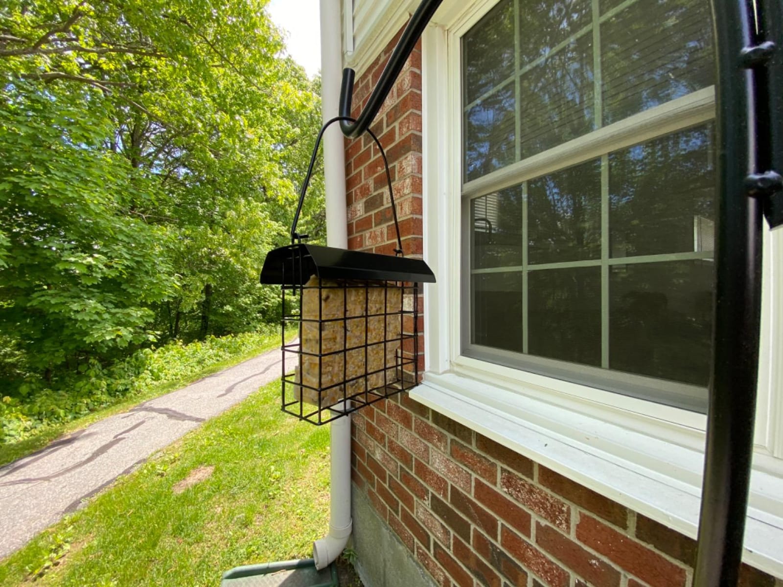FORUP Suet Bird Feeder, Hanging Suet Feeder, Single Suet Cake Bird Feeder, One Suet Capacity customer photo 1