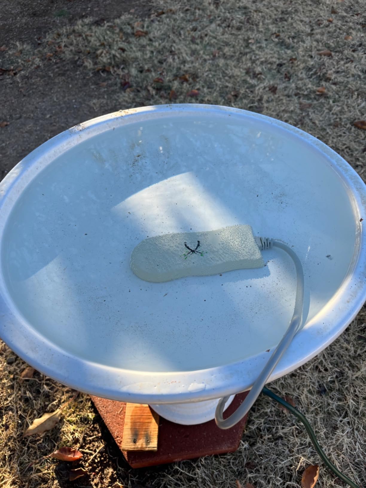 Bird Bath Heater for Outdoors in Winter, Birdbaths Deicer with Thermostatically Controlled, Made of Heavy Duty Premium Cast Aluminum, Perfect for Patio Yard and Lawn Cream customer photo 1