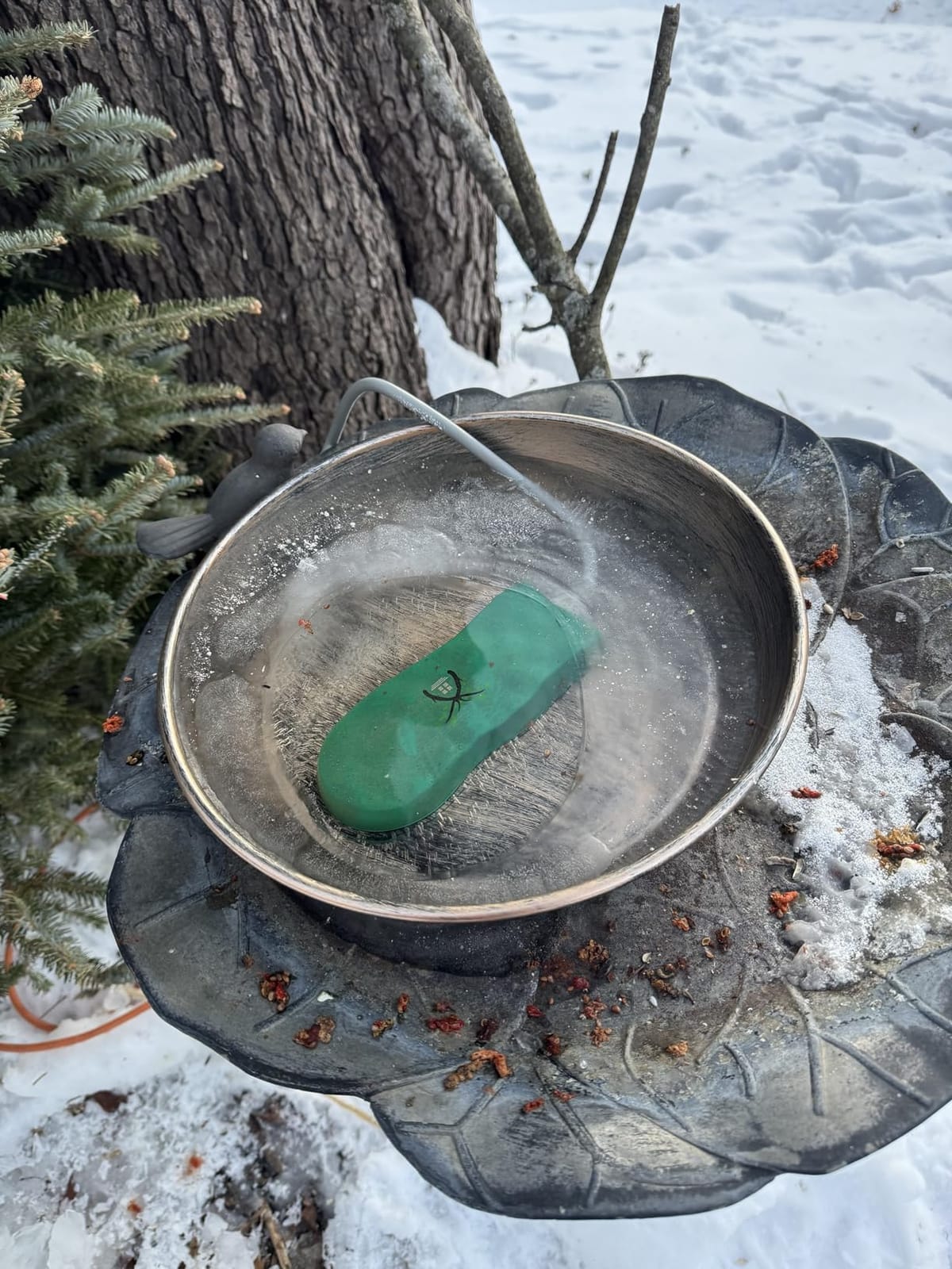 Bird Bath Heater for Outdoors in Winter, Birdbaths Deicer with Thermostatically Controlled, Made of Heavy Duty Premium Cast Aluminum, Perfect for Patio Yard and Lawn Cream customer photo 2
