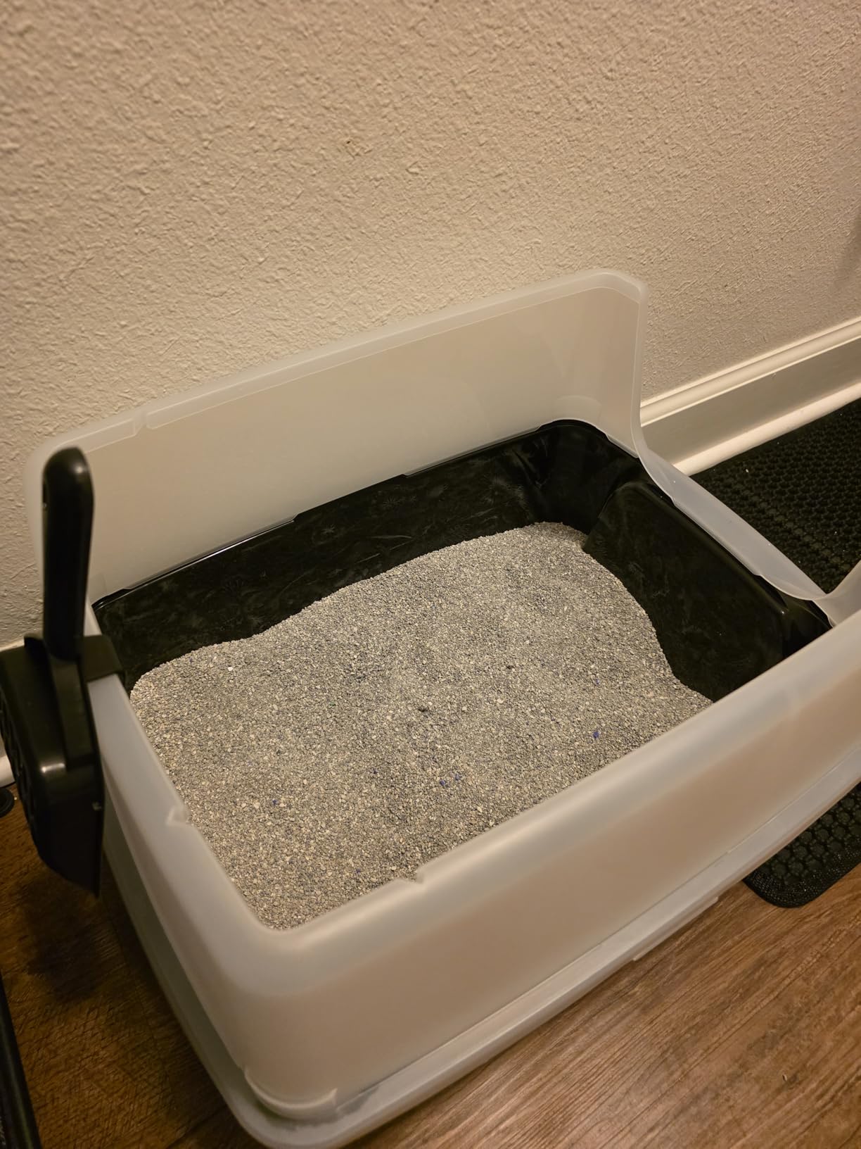 IRIS USA Large High Sided Cat Litter Box, Scatter Shield customer photo 2