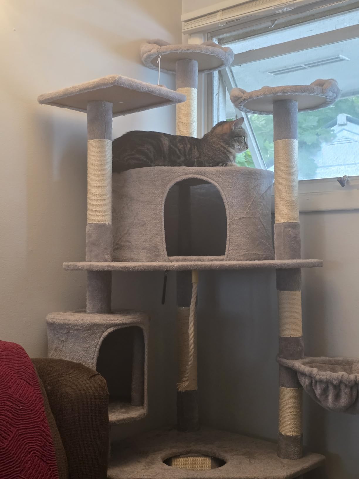Yaheetech 79in Multi-Level Cat Tree for Multiple Cats with 9 sisal Posts customer photo 2