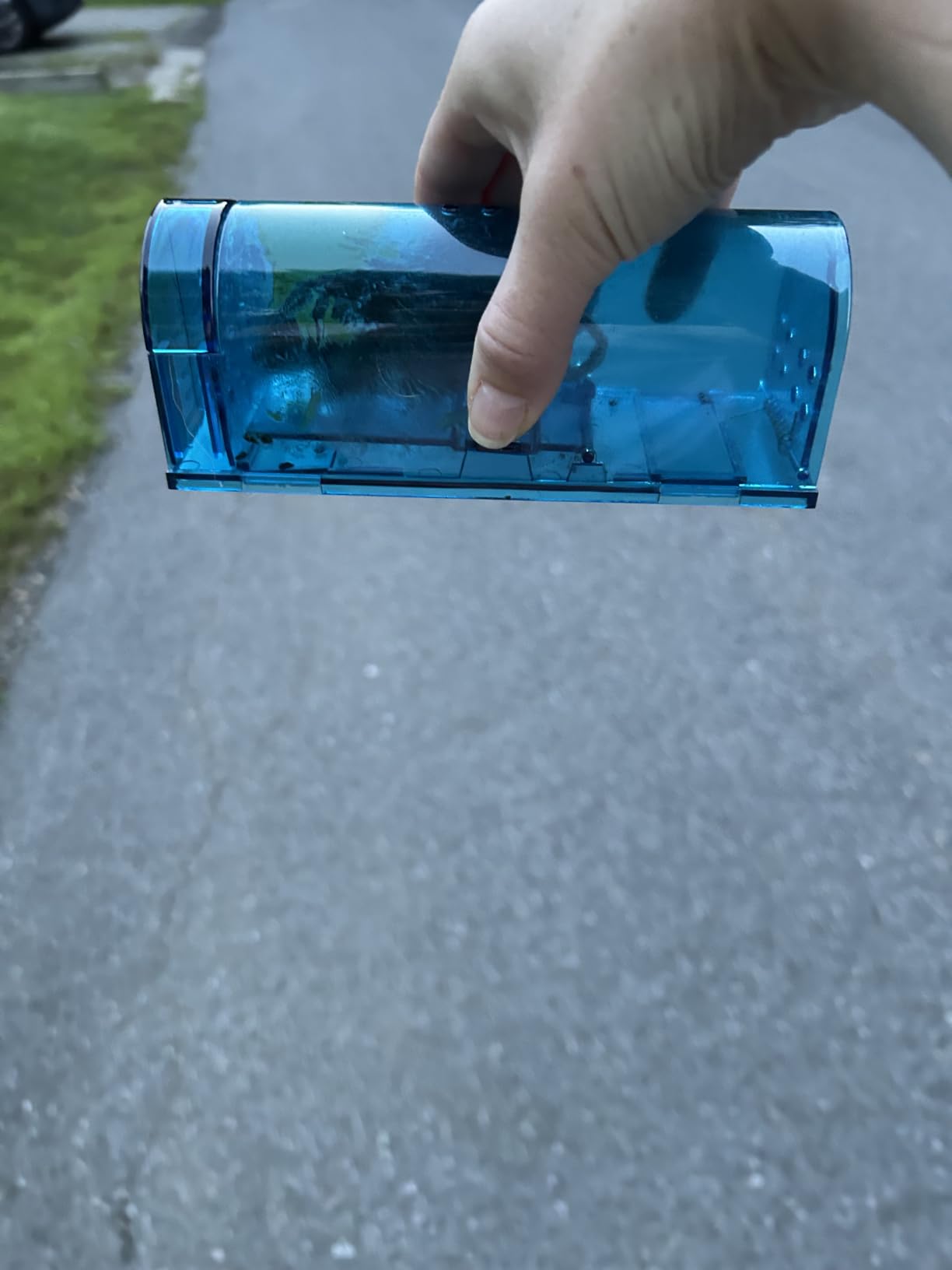 Humane Mouse Trap Reusable! [2-Pack] - Catch and Release No-Kill Rodent Traps for Indoors & Outdoors - Safe for Children & Pets - Reusable Mouse Catcher for Kitchen, Pantry & Garage Blinc (Blue) customer photo 1