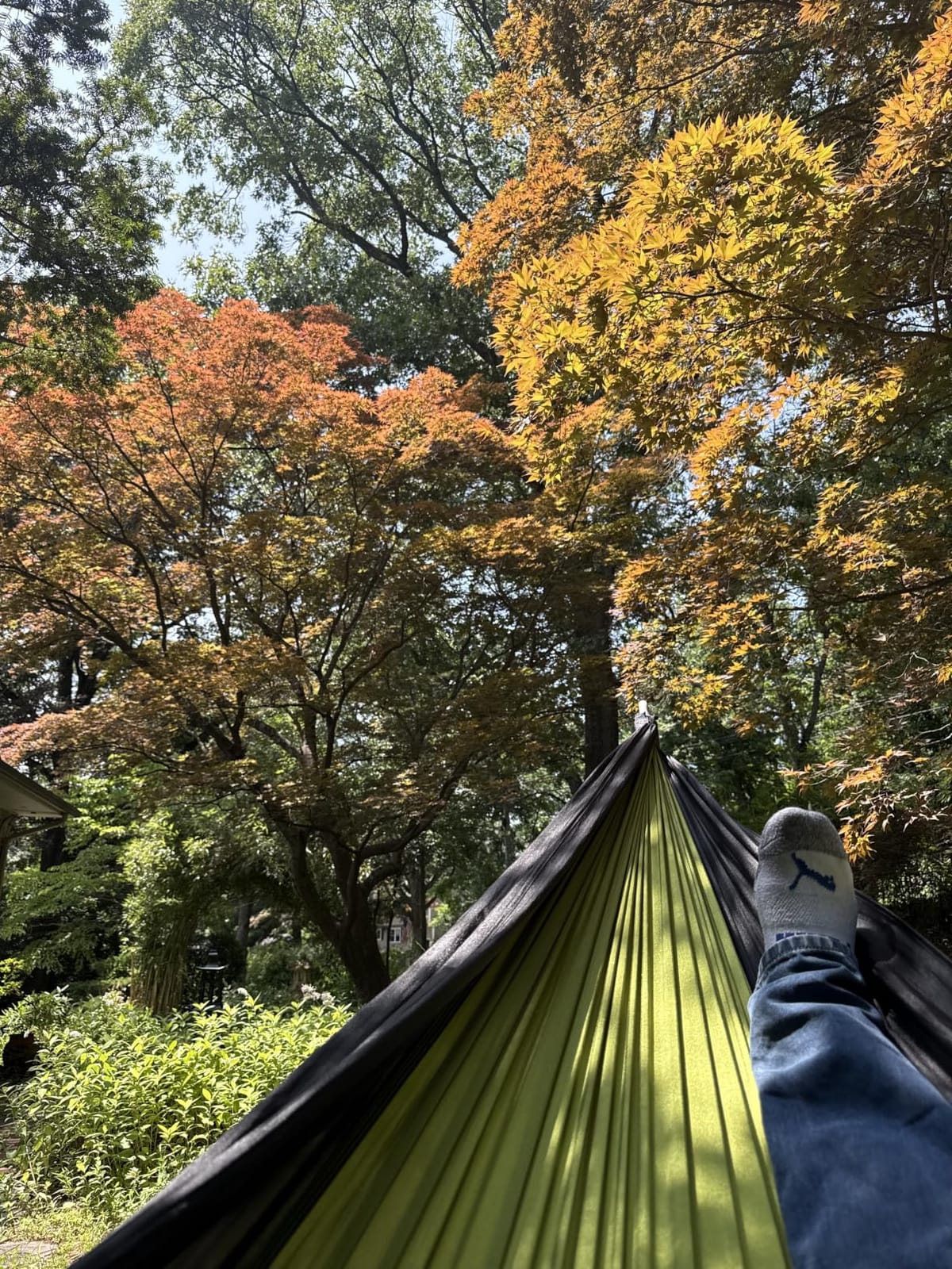 AnorTrek Camping Hammock, Super Lightweight Portable Parachute Hammock with Two Tree Straps Single or Double Nylon Travel Tree Hammocks for Camping Backpacking Hiking customer photo 2