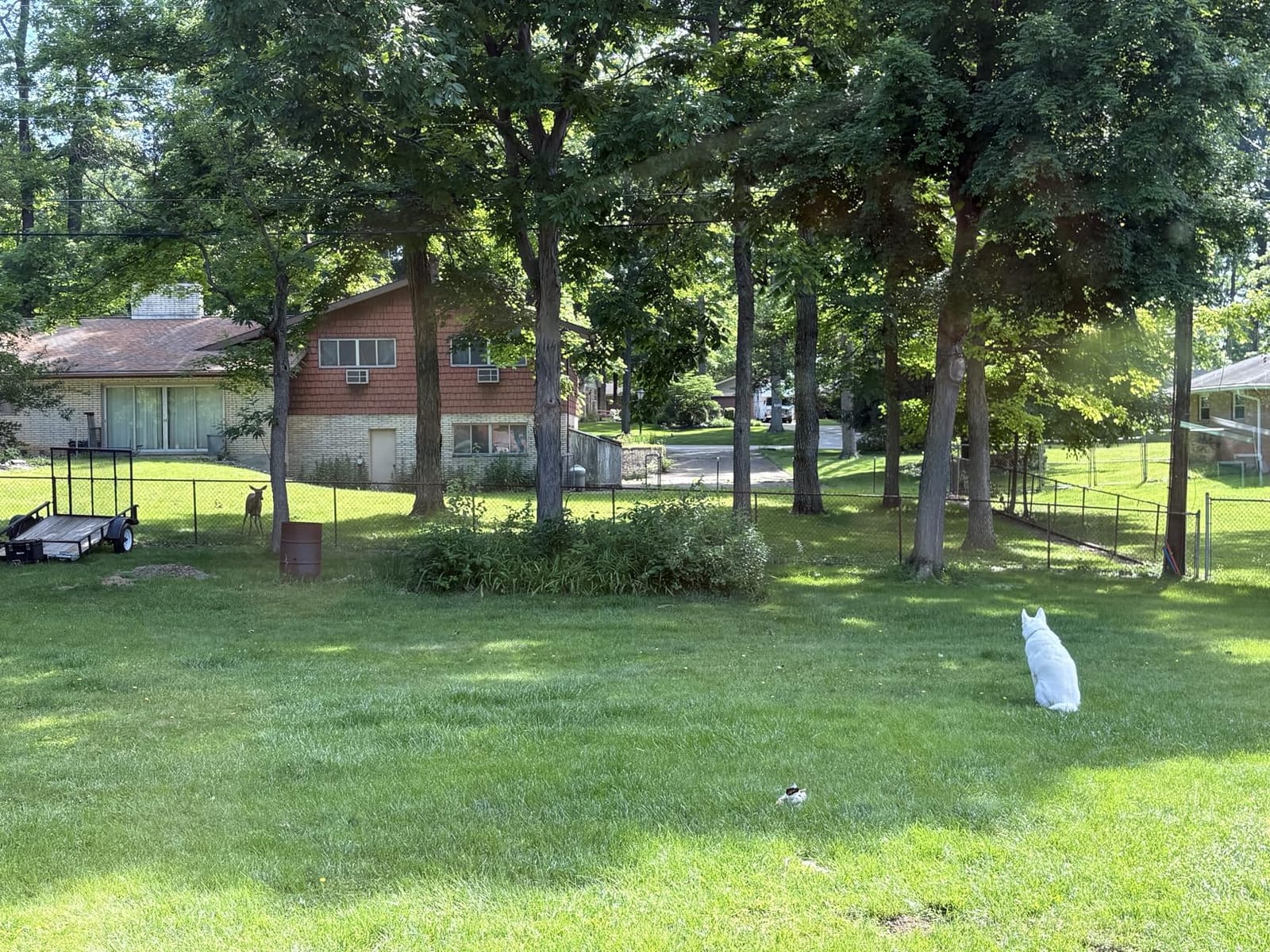 SportDOG Rechargeable In-Ground Fence System, Up to 1 1/3 Acres customer photo 2
