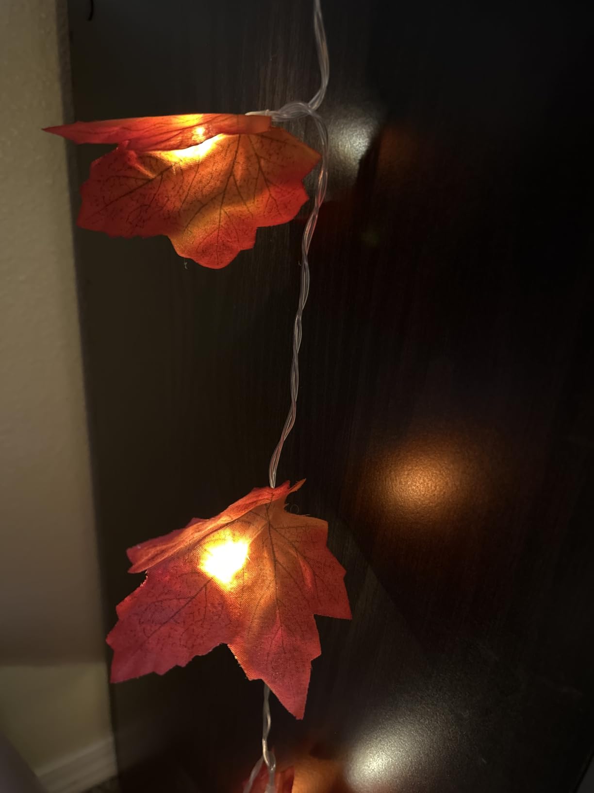 Fall Decor 2 Pack Fall Garland with Lights Enlarged Maple Leaves 20Ft 40LED | Halloween Fall Decorations for Home, Battery Operated Waterproof Autumn String Lights Indoor Outdoor Thanksgiving Decorations customer photo 1