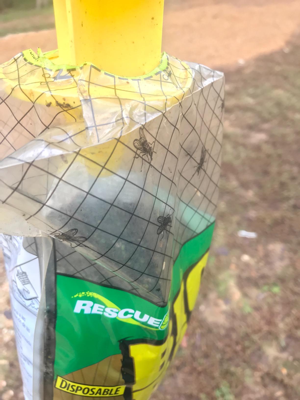 RESCUE! Big Bag Fly Trap – Disposable, Outdoor Use - 2 Traps customer photo 1