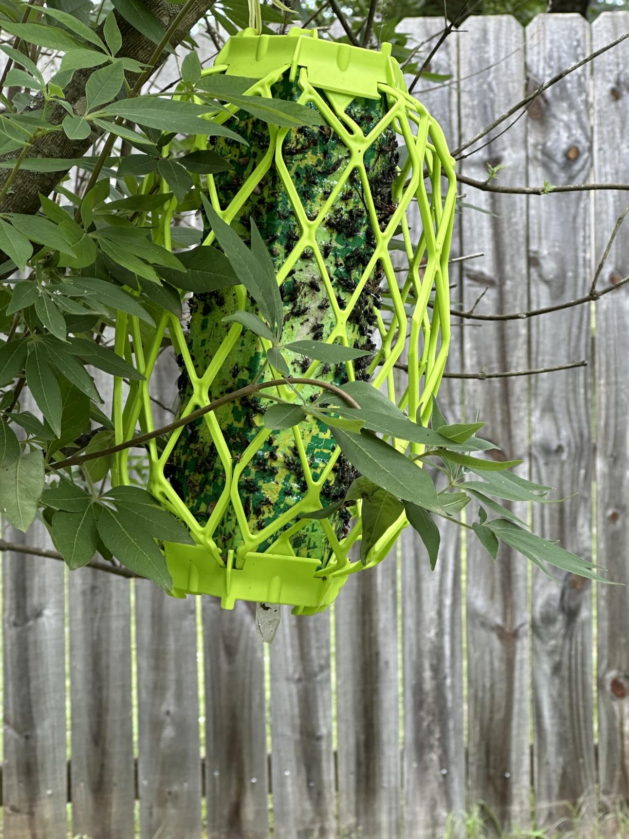 RESCUE! VisiLure® TrapStik for Wasps, Mud Daubers, Carpenter Bees – 2 Pack customer photo 1