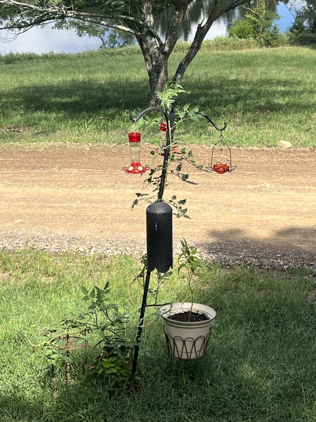 FORUP Oriole Bird Feeder, Orange Fruit Oriole Feeder customer photo 1