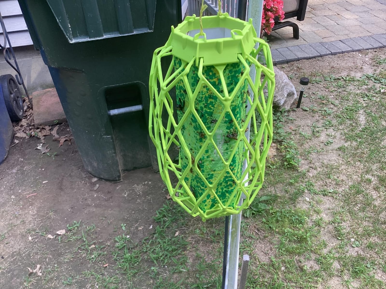 RESCUE! WHY Trap for Wasps, Hornets, & Yellowjackets – Hanging Outdoor Trap - 2 Traps customer photo 1